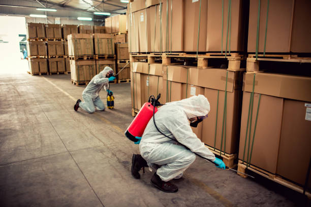 Best Cockroach Control Services  in San Leon, TX