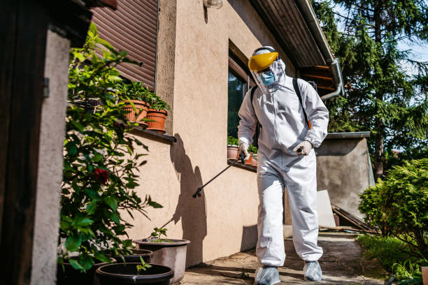 Best Mosquito Control Services  in San Leon, TX