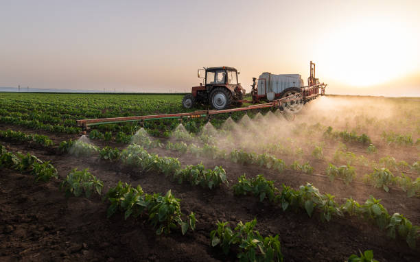 Best Ant Control Services  in San Leon, TX