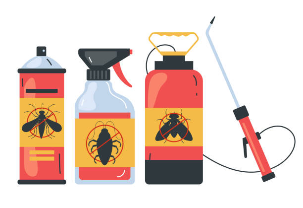Reliable San Leon, TX Pest Control Solutions